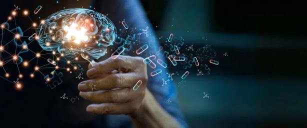 Foto - Hafızayı Güçlendiren Besin! Unutkanlığa karşı etkili çözüm