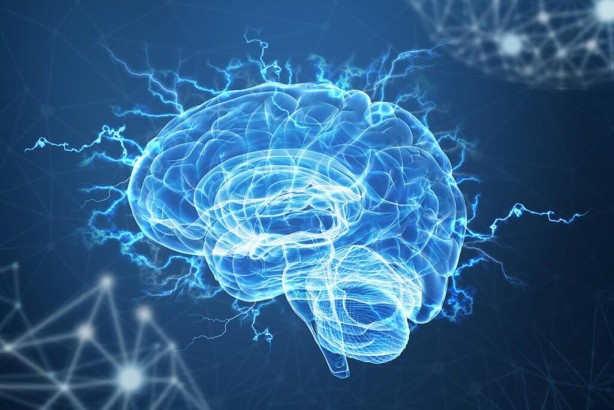 Foto - Hafızayı güçlendiren muhteşem bitkiler