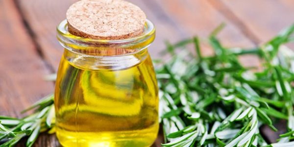 Foto - Hafızayı güçlendiren muhteşem bitkiler