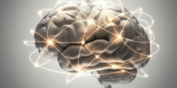 Foto - Hafızayı güçlendiren muhteşem bitkiler