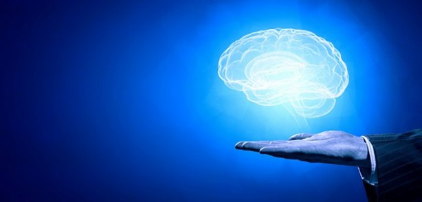 Foto - Hafızayı güçlendiren muhteşem bitkiler