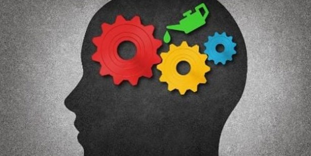 Foto - Hafızayı güçlendiren muhteşem bitkiler