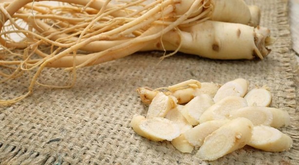 Foto - Hafızayı güçlendiren muhteşem bitkiler