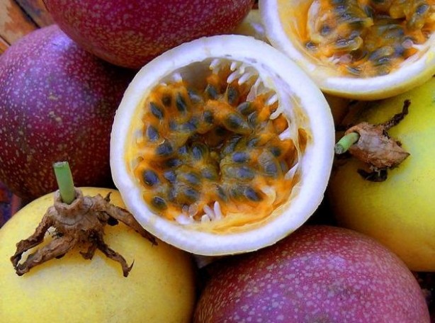 Foto - Hafızayı güçlendiren muhteşem bitkiler