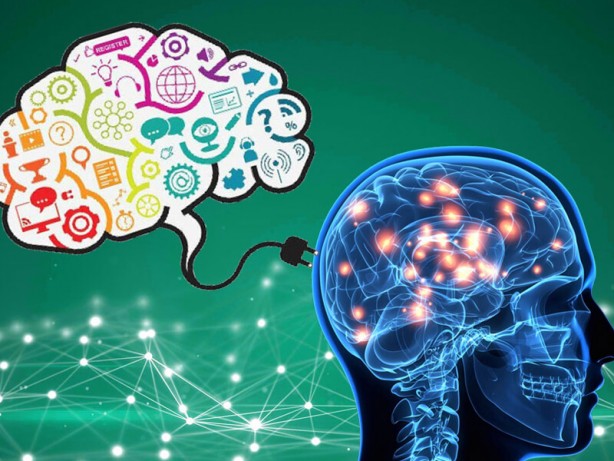 Foto - Hafızayı güçlendiren muhteşem bitkiler