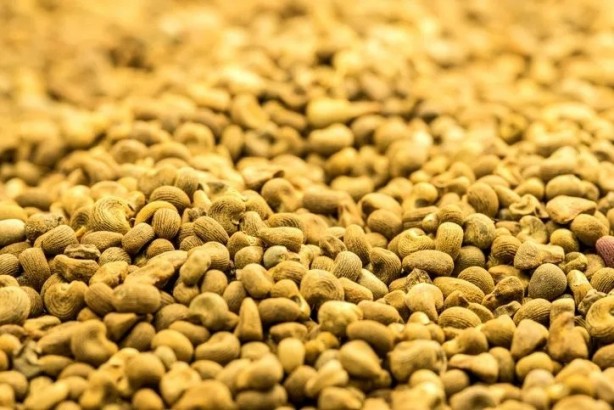 Foto - Haftada bir yiyenin damarları temizleniyor! İş o muhteşem ürün…