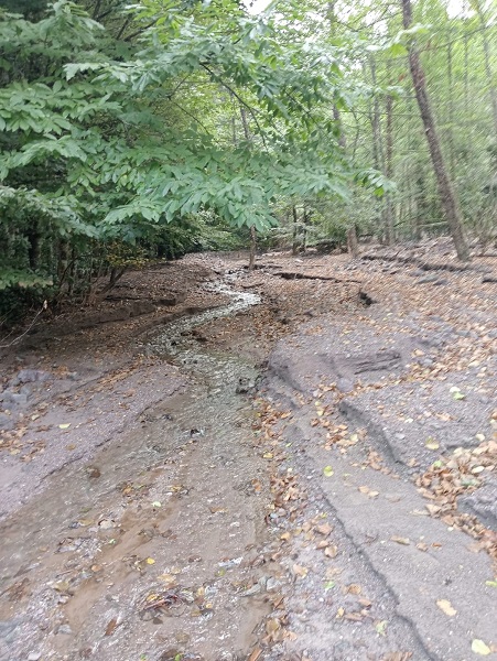 Foto - Haftada en az 10 gram altın buluyor