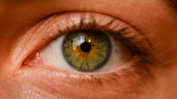 Haftada en az iki öğün balık tüketince bakın ne oluyor