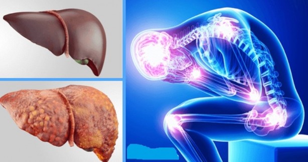 Foto - Haftada üç kez tüketin! Ciğerleri baştan sona yeniliyor...