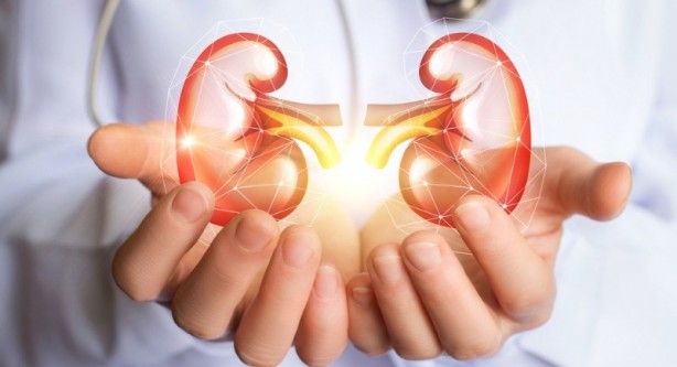 Foto - Haftada üç kez tüketin! Ciğerleri baştan sona yeniliyor...