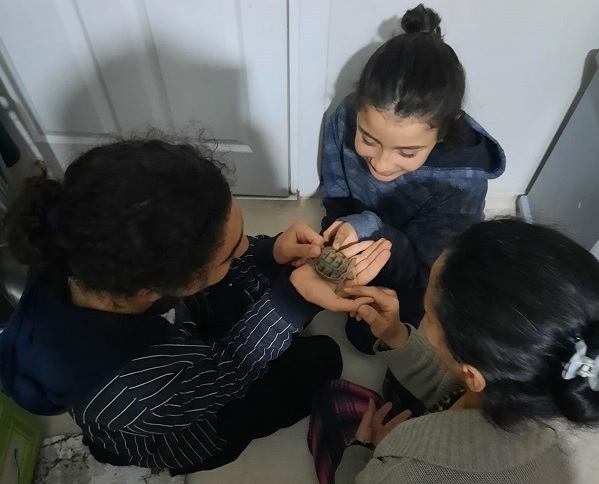 Foto - Haftalar sonra evine giren depremzede hayatının şokunu yaşadı