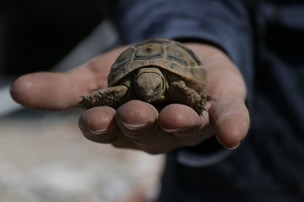 Foto - Haftalar sonra evine giren depremzede hayatının şokunu yaşadı