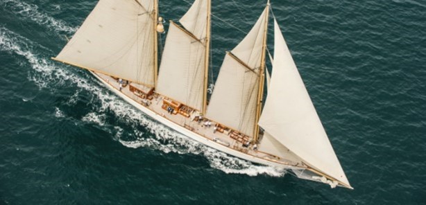 Foto - Haftalık kirasına çok şaşıracaksınız