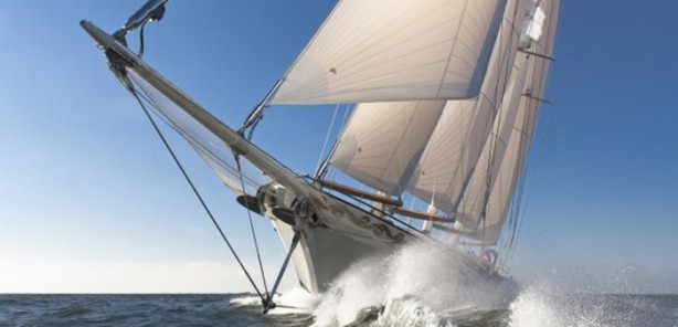 Foto - Haftalık kirasına çok şaşıracaksınız