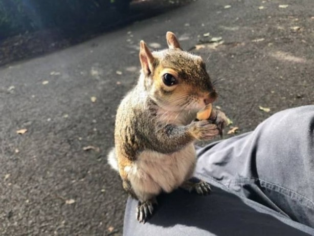 Foto - Haftanın en çok paylaşılan fotoğrafları! Böyle tarla sürme görülmedi