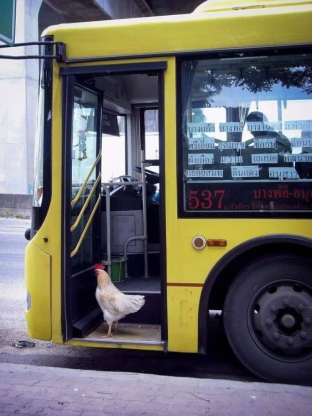 Foto - Haftanın en çok paylaşılan fotoğrafları! Böyle tarla sürme görülmedi