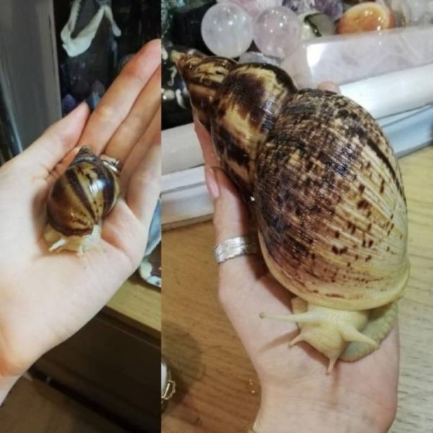 Foto - Haftanın en çok paylaşılan fotoğrafları! Böyle tarla sürme görülmedi
