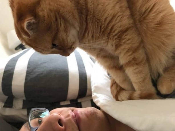 Foto - Haftanın en çok paylaşılan fotoğrafları! Böyle tarla sürme görülmedi