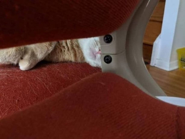 Foto - Haftanın en çok paylaşılan fotoğrafları! Böyle tarla sürme görülmedi
