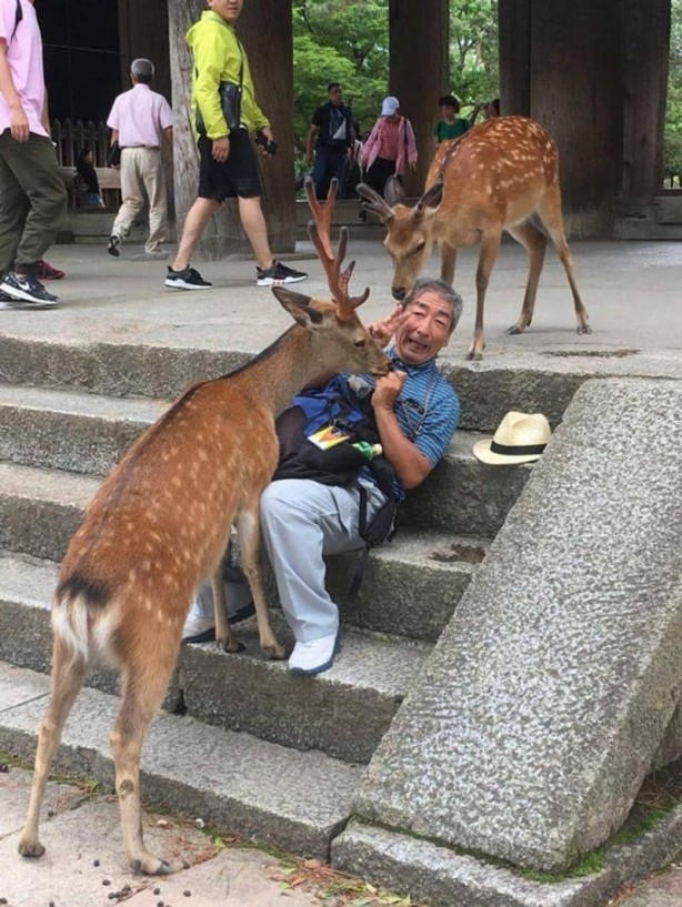 Foto - Haftanın en çok paylaşılan fotoğrafları! Böyle tarla sürme görülmedi