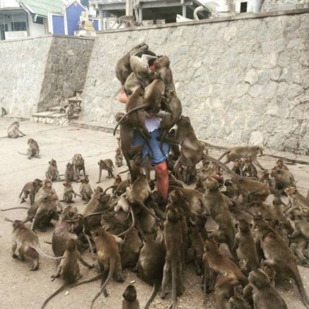 Foto - Haftanın en çok paylaşılan fotoğrafları! Böyle tarla sürme görülmedi
