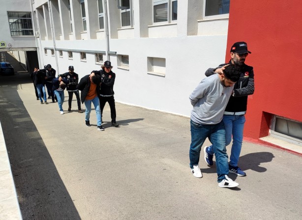 Foto - Hainlerden her gün yeni bir numara! El çantasındaki patatesin içinden çıktı