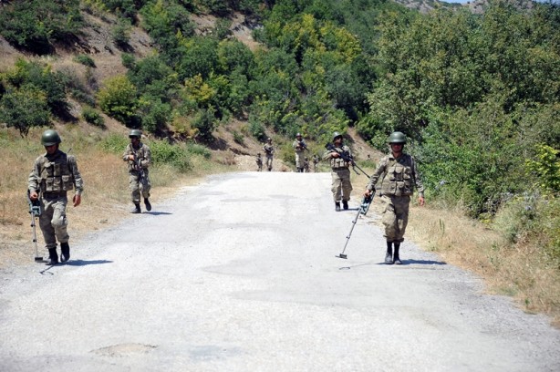 Foto - Hainlerin korkulu rüyası 'Boralar'