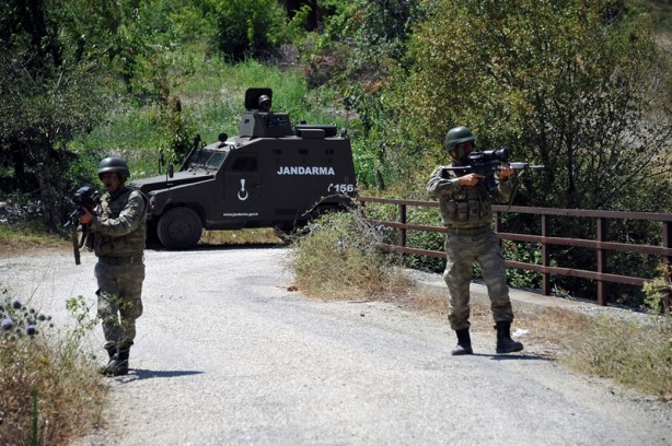Foto - Hainlerin korkulu rüyası 'Boralar'