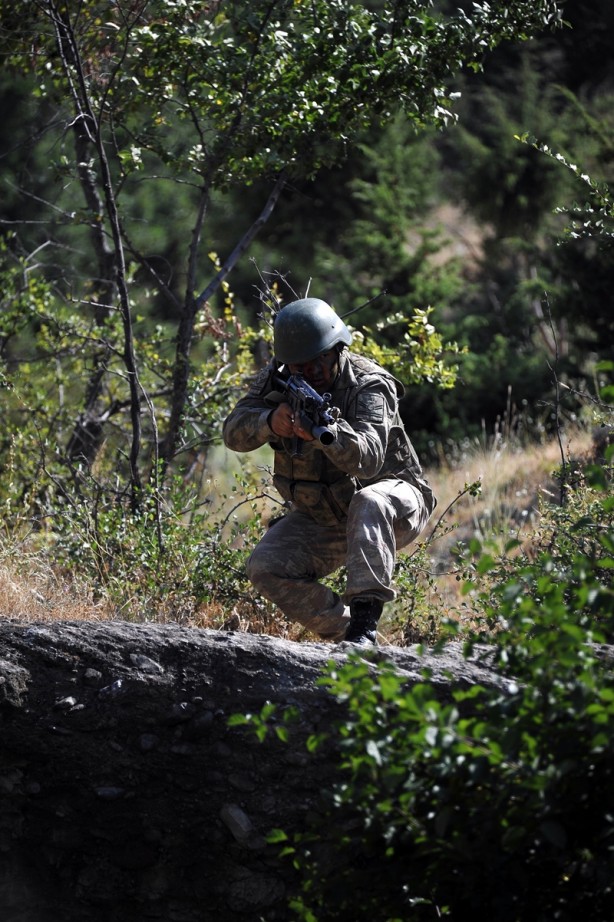 Foto - Hainlerin korkulu rüyası 'Boralar'