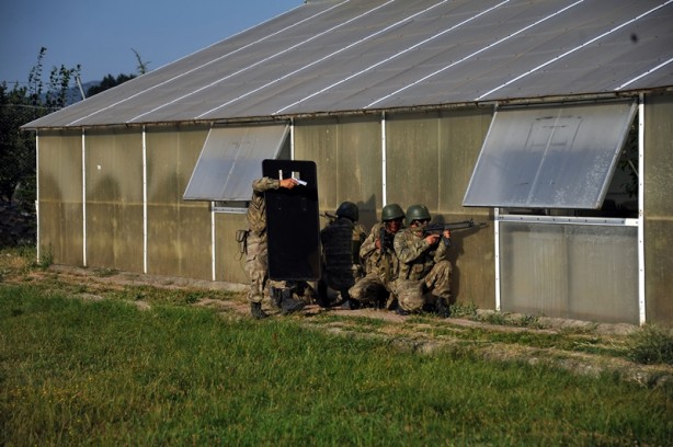 Foto - Hainlerin korkulu rüyası 'Boralar'