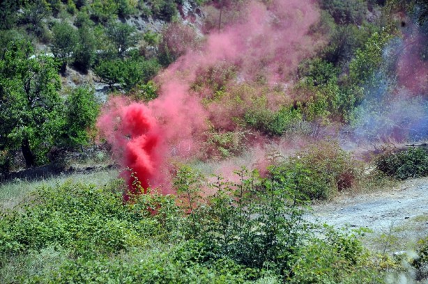 Foto - Hainlerin korkulu rüyası 'Boralar'