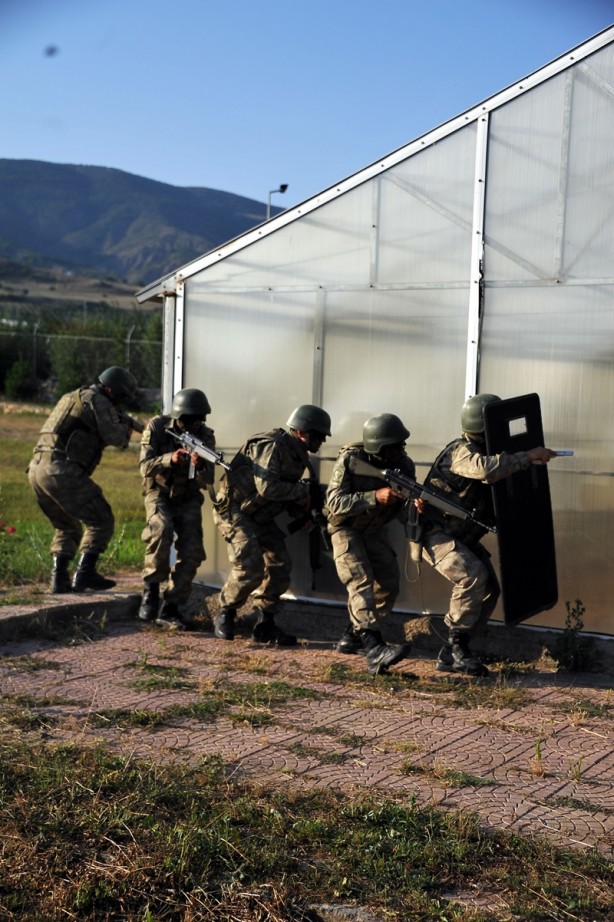 Foto - Hainlerin korkulu rüyası 'Boralar'