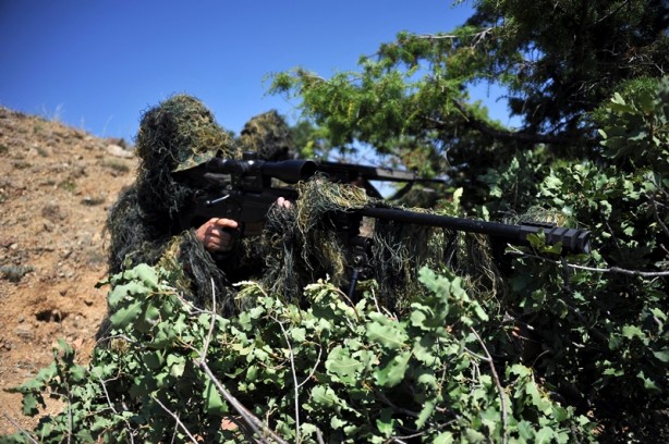 Foto - Hainlerin korkulu rüyası 'Boralar'