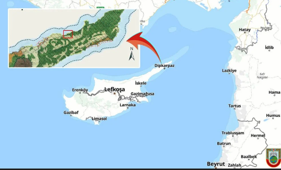 Hakan Fidan emri verdi! İsrail'in planı patladı