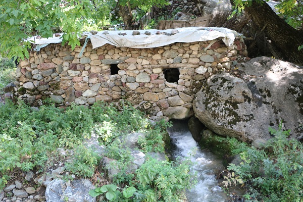 Foto - 155 yıldır buğdaylar bu değirmende öğütülüyor