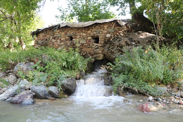 155 yıldır buğdaylar bu değirmende öğütülüyor
