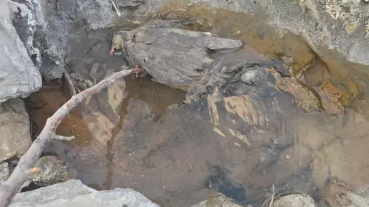 Foto - Hakkari’de gizemli vadi! Yıllarca kötü kokuya anlam verememişlerdi! Meğer...