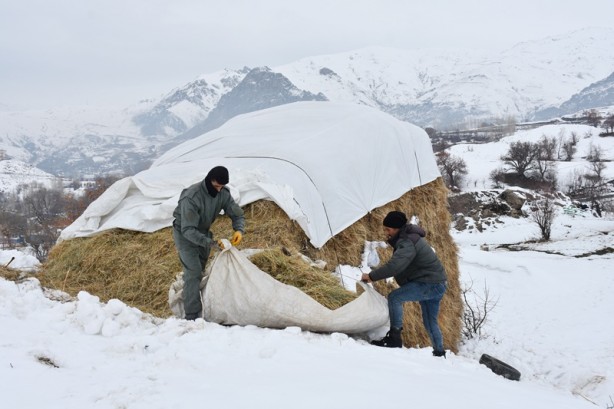Foto - Hakkari'deki besicilerin zorlu mücadelesi başladı