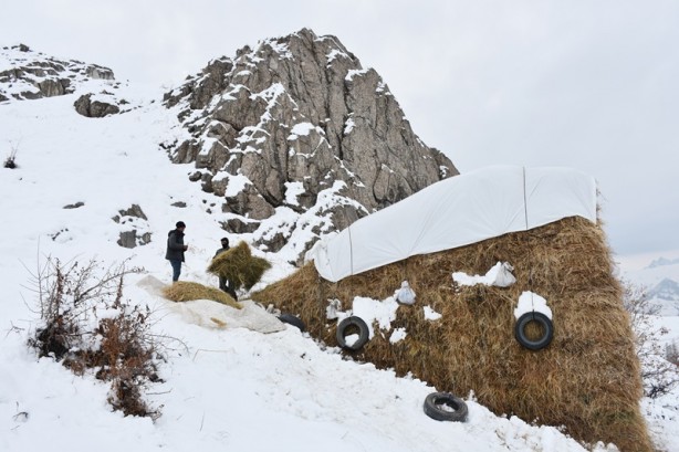 Hakkari'deki besicilerin zorlu mücadelesi başladı