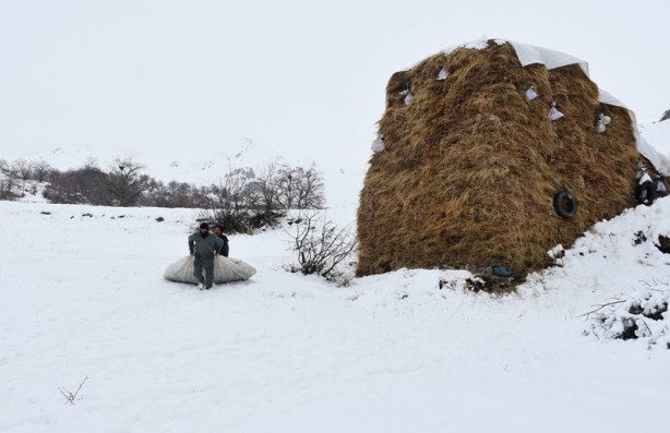 Foto - Hakkari'deki besicilerin zorlu mücadelesi başladı
