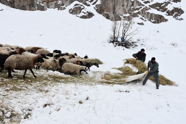 Foto - Hakkari'deki besicilerin zorlu mücadelesi başladı