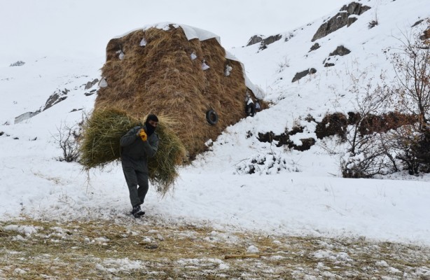 Foto - Hakkari'deki besicilerin zorlu mücadelesi başladı