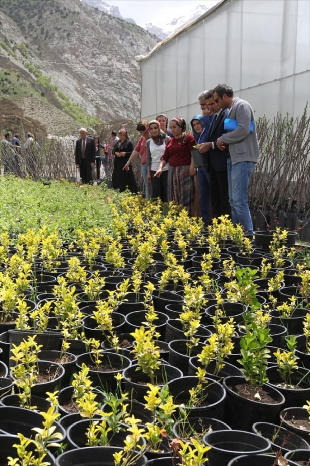 Foto - Hakkari'nin girişimci kadınları