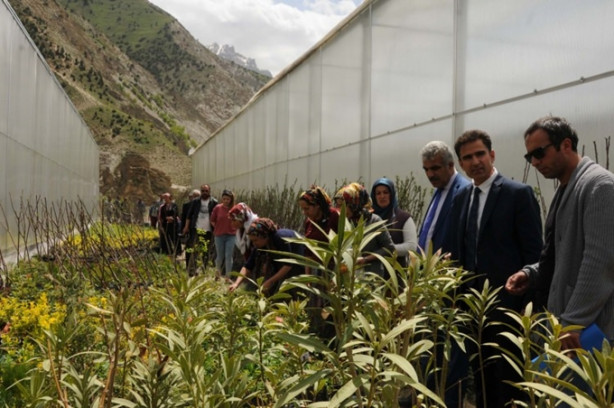 Foto - Hakkari'nin girişimci kadınları