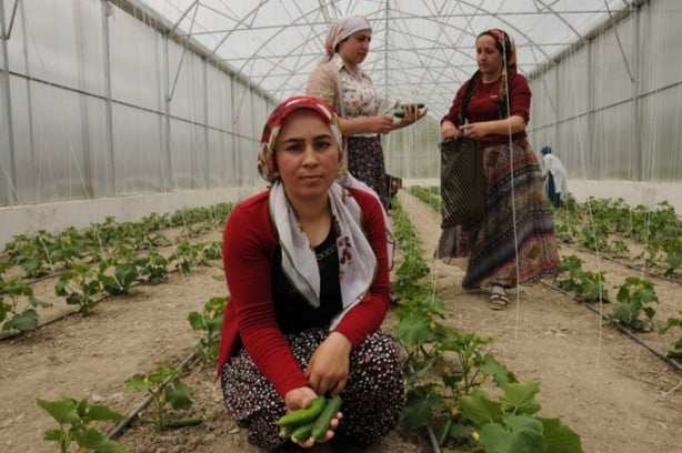Foto - Hakkari'nin girişimci kadınları