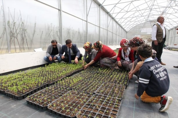 Foto - Hakkari'nin girişimci kadınları