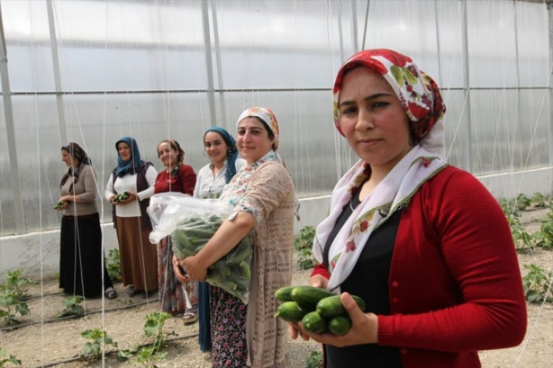 Foto - Hakkari'nin girişimci kadınları
