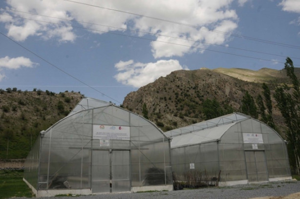 Foto - Hakkari'nin girişimci kadınları