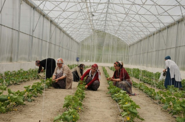  Hakkari'nin girişimci kadınları
