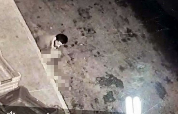 Foto - Halde mide bulandıran görüntüler! Köpeğe taciz böyle görüntülendi